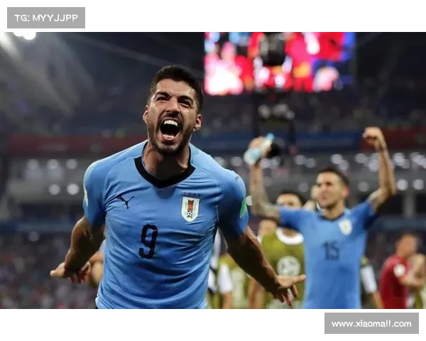 2016年世界一级方程式锦标赛全程赛事精彩镜头与激动时刻全集