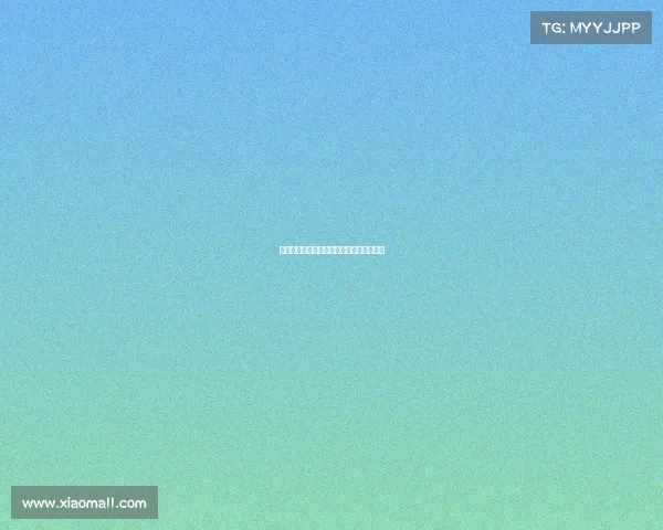 女排有哪些国际赛事、女排有哪些世界大赛