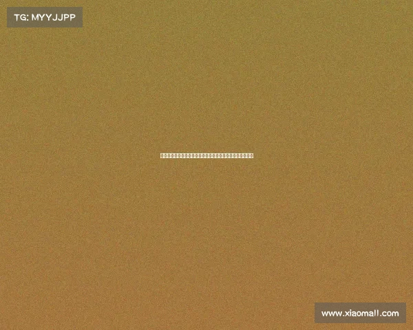 海南赛事有限公司创新赛事管理助力海南体育文化高质量发展